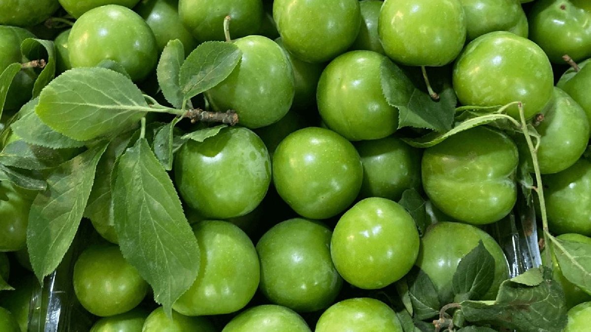 Erik fiyatları gram altın ile yarışıyor! Eriğin ucuzlayacağı tarih açıklandı: Canı çekenler çok sevinecek