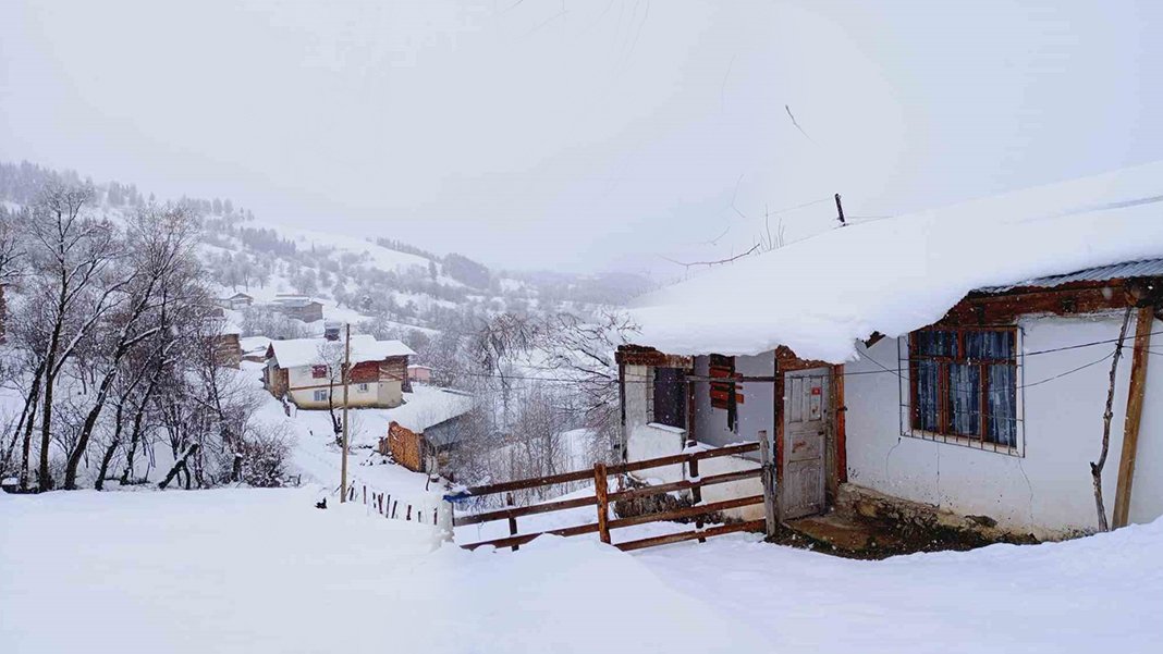 Artvin Nisan ayında beyaza büründü