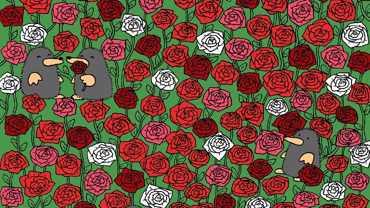 Sadece en zekiler onu görebiliyor: Güllerin arasında gizli duran minik kalbi bulabilir misiniz?