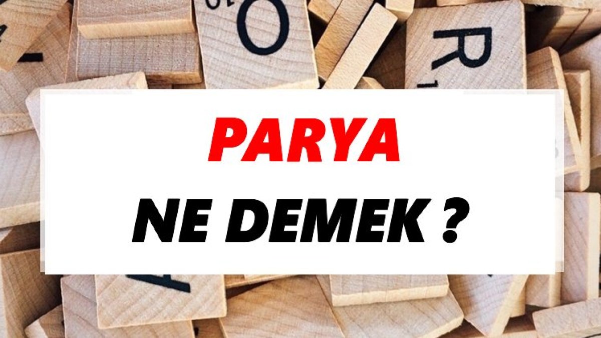 Parya Ne Demek? Türk Dilinde Parya Kelimesinin Anlamı ve Kullanımı