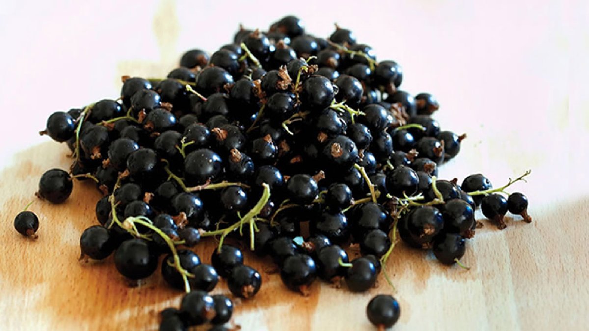 Yüksek tansiyonu olan bol bol yesin! Damarları açıyor, tansiyonu dizginliyor: Her derde deva o meyve...