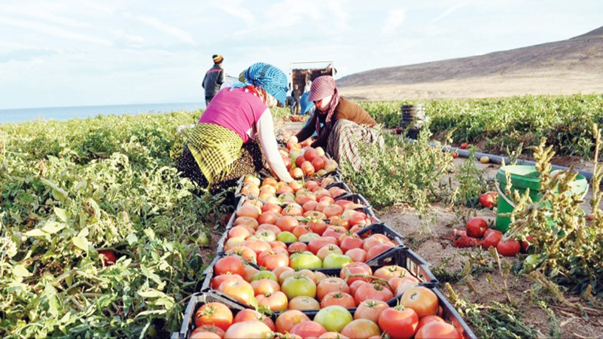 İthal gıda fiyatları düşürmüyor! Vurguncu yine kazanıyor