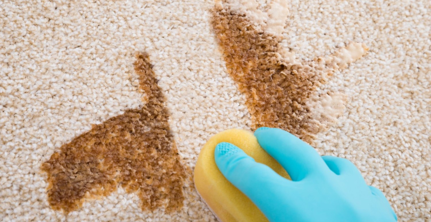 Halıya dökülen çay kahve kabusunuz olmasın! Tek bir yöntemle lekeden eser kalmayacak: Herkes bunu uyguluyor