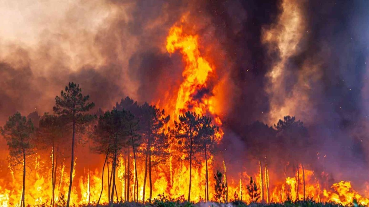 İspanya son 20 yılın en kötüsünü yaşıyor: Ormanlar haftalardır alev alev