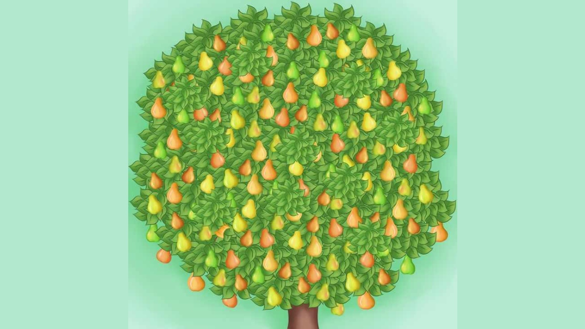 Bu ağaç resmindeki hatayı 6 saniyede bulursan senden zekisi yok! Sadece üst düzey zekaya sahip olanlar bulabiliyor!