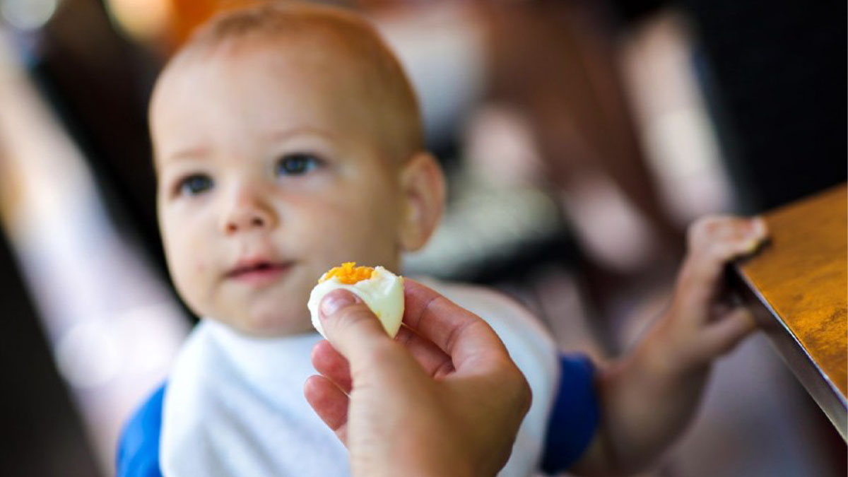 Yumurtanın beyazı bebeklere ne zaman verilir?