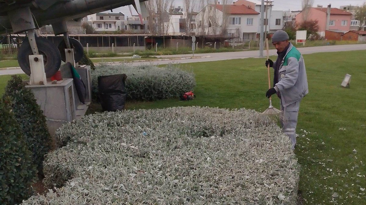 Burhaniye de yabani ot temizliği çalışmaları başladı