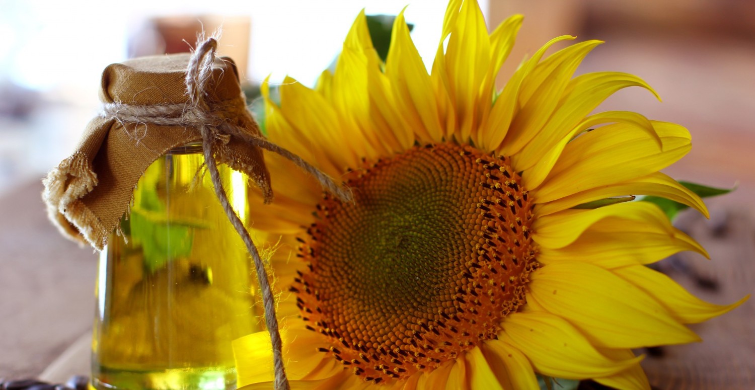 Ayçiçek yağı fiyatları eskiye döndü! O markette 5 litresi 2 litre fiyatına satılacak: İşte büyük indirimli fiyat!