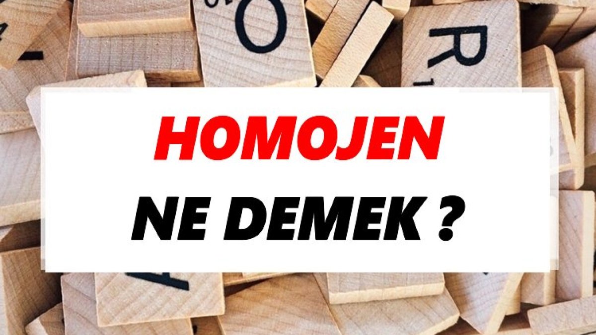 Homojen Nedir: Türkçede Tanımı ve Örnekleri