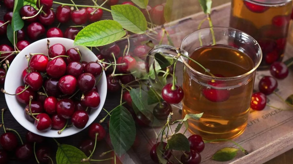 Vişne Sapının Faydaları