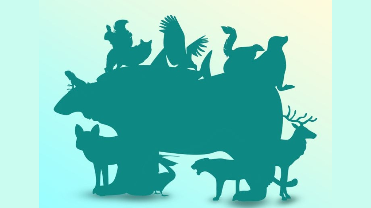 Resimde kaç hayvan olduğunu bulabilir misin? Sadece IQ seviyesi yüksek olanlar 23 saniyede bulabiliyor!