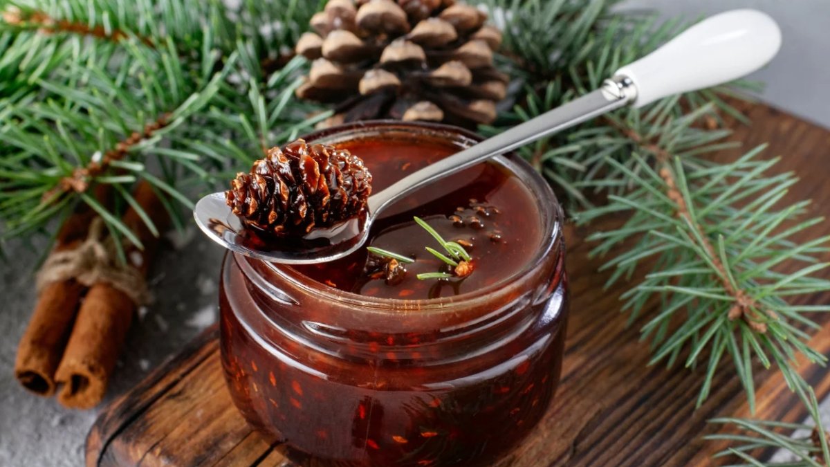 Çam Kozalağı Pekmezi: Faydaları ve Kullanımı