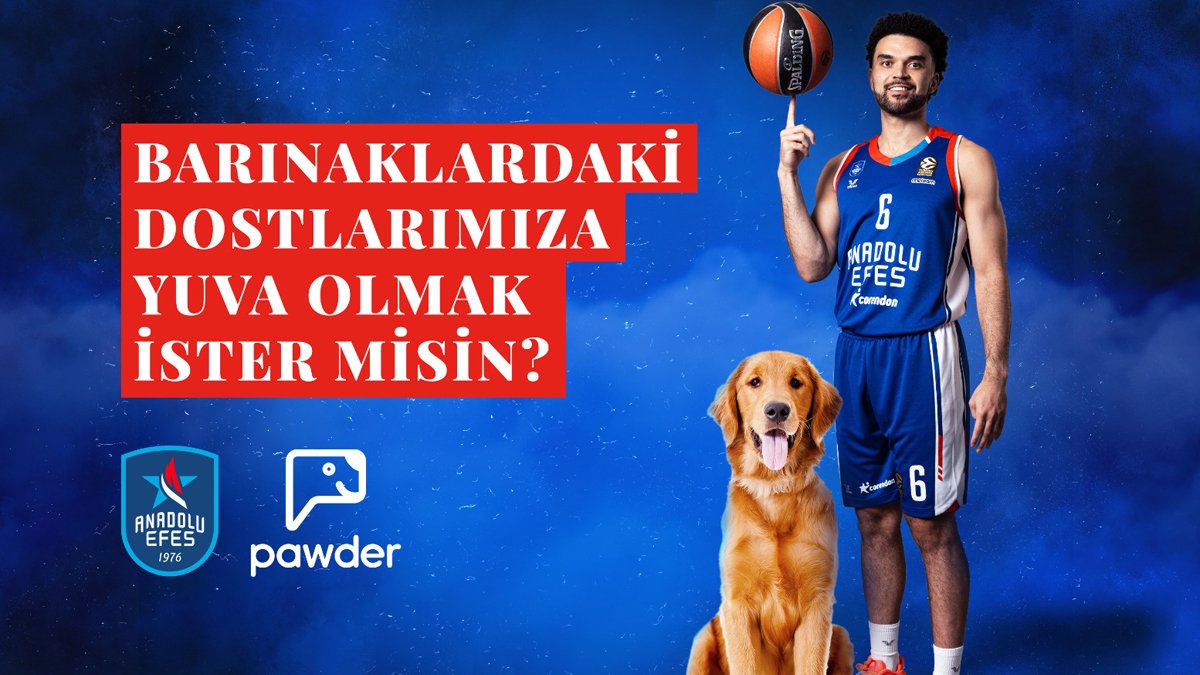 Anadolu Efes'ten örnek adım! Depremzede köpeklerin sahiplendirilmesine destek