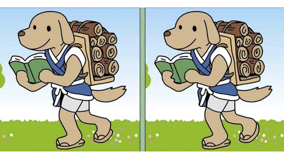 İki resim arasındaki 3 farkı 9 saniyede bulanların IQ seviyesi en az 150 çıkıyor! Şimdi zekanı test et