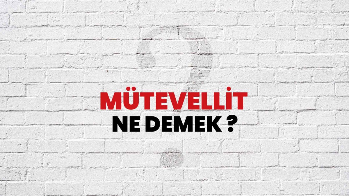Mütevellit Nedir? Tanımı, Örnekleri ve Kullanımı