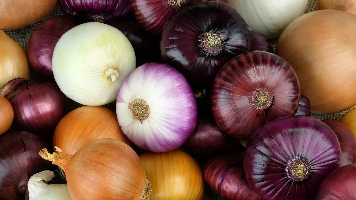 Zam şampiyonundan sevindiren haber! Tarlada 16, markette 30 TL! Ramazan sonunu bekleyin!