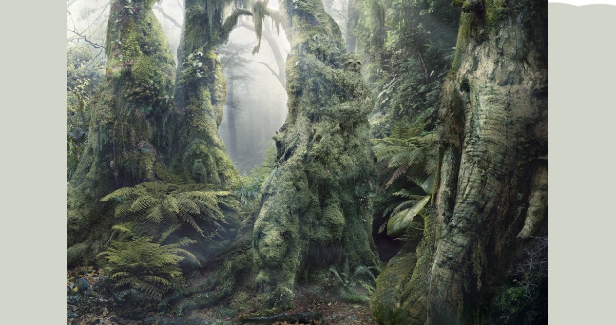 Ormandaki tüm saklanmış hayvanları 26 saniyede bulabilir misin? Sadece üst düzey zekaya sahip insanlar bulabiliyor!