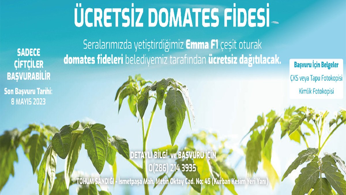 Çiftçiler için "Ücretsiz Domates Fidesi" dağıtımları başlıyor