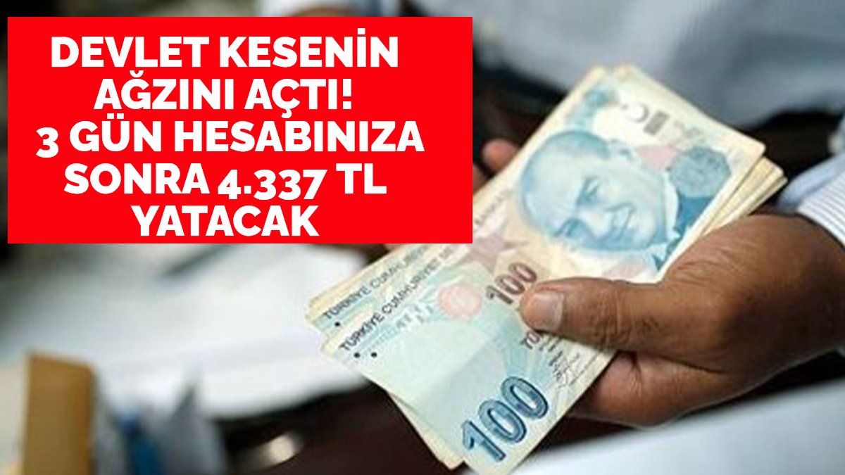Devlet kesenin ağzını açtı! Şartları taşıyana 3 gün sonra 4.337 TL para ödenecek: e-Devlet'ten hakkınız var mı öğrenin