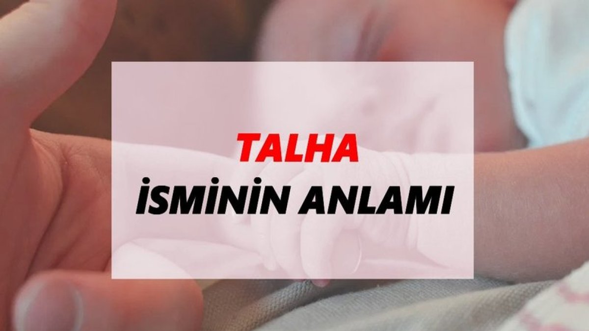 Talha İsminin Anlamı: Tarihten Günümüze Bir İsim