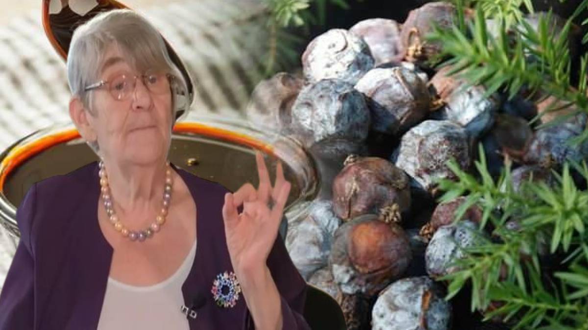 Bir tek ölüme çaresi yok! Canan Karatay 'Süper besin' diyerek duyurdu: Bir yiyen elinden düşürmüyor