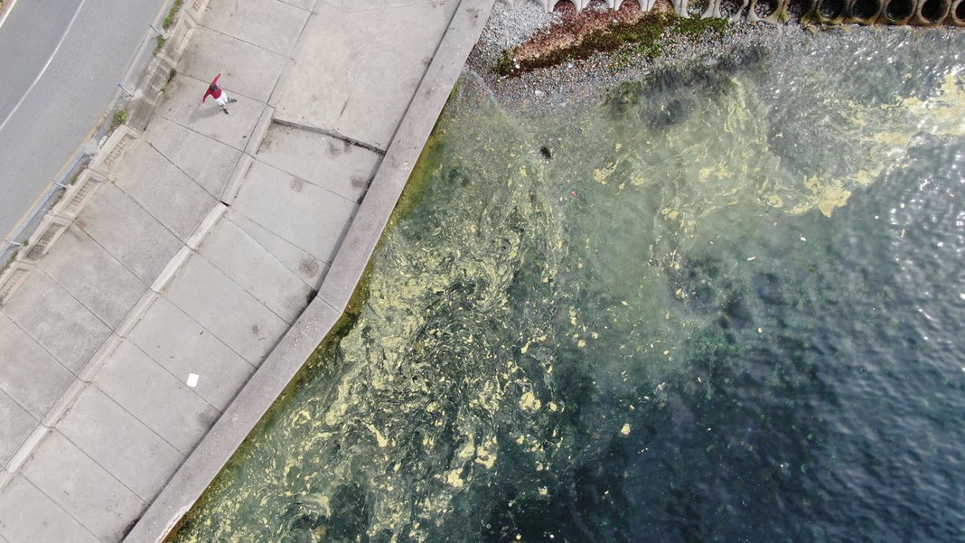 Marmara Denizi'nde korkulan oldu: Müsilaj geri döndü