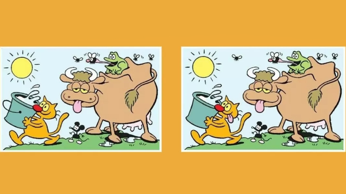 Resimler arasında 5 gizli fark var! 16 saniyede bulabilirsen senden zekisi yok! Şimdi zekanı test et