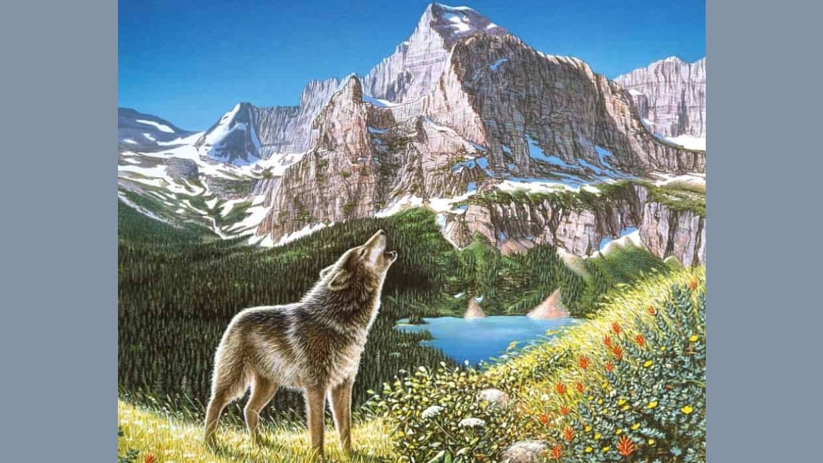 Görüntüdeki 4 gizli kurdu 6 saniyede bulabilirseniz IQ seviyeniz 140'ın üstünde çıkıyor! Zekanı test et