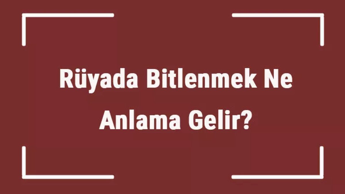 Rüyada Bitlenmek: Anlamı ve Yorumları