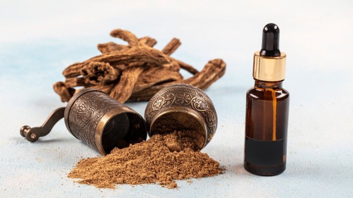 Udi Hindi Faydaları: Sindirimden Bağışıklığa Kadar Geniş Kapsamlı Bir İyileştirici