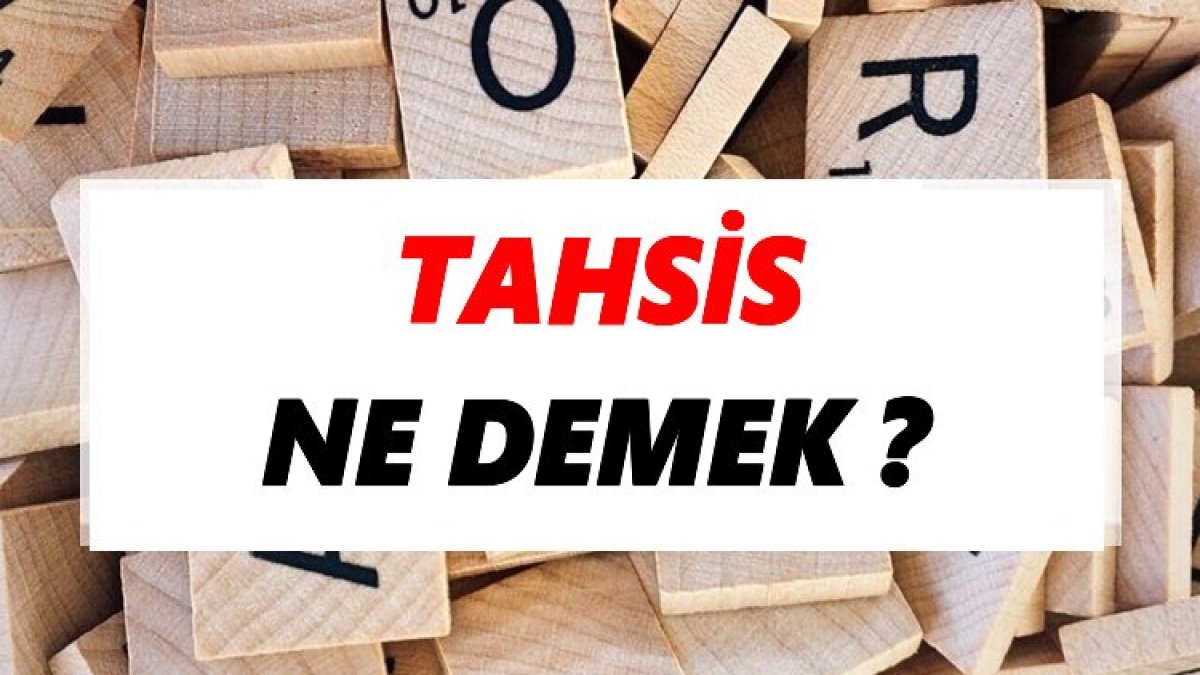 Tahsis Nedir?