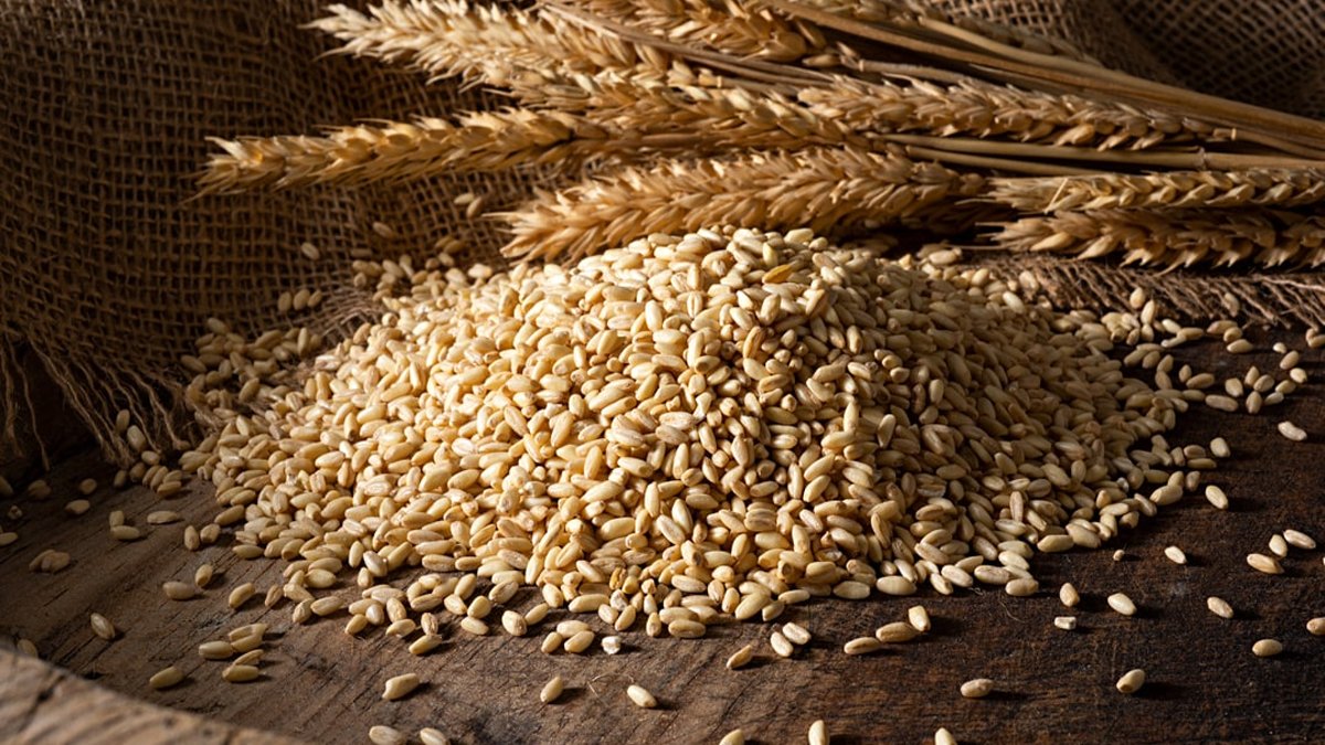 'Sıfır' politikasına veda: Buğday, arpa ve mısırda vergi yeniden yüzde 130'a çıktı