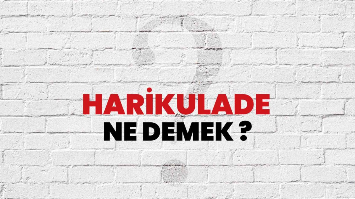 Harikulade Ne Demek?
