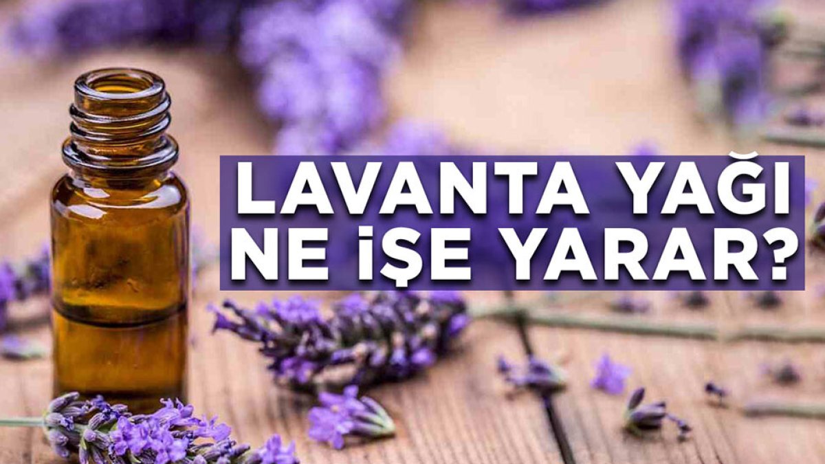 Lavanta Yağı Ne İşe Yarar?