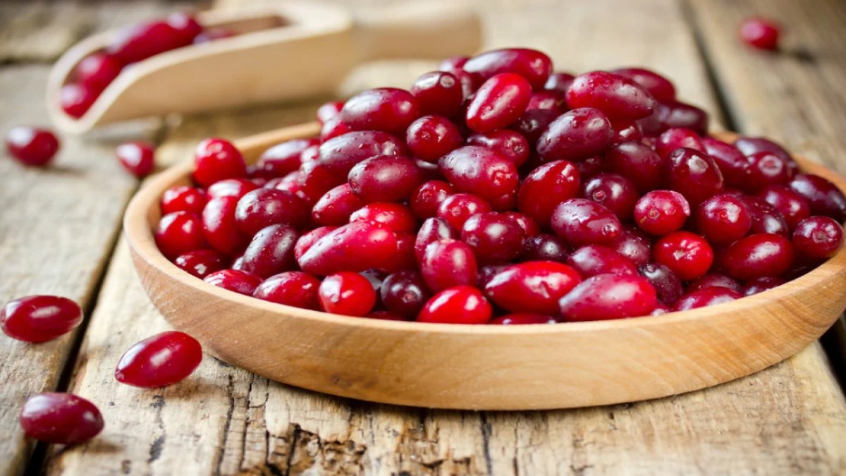 Kızılcık Faydaları: Sağlıklı Yaşamın Anahtarı