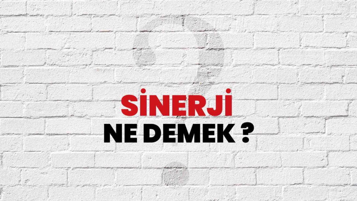 Sinerji Nedir?