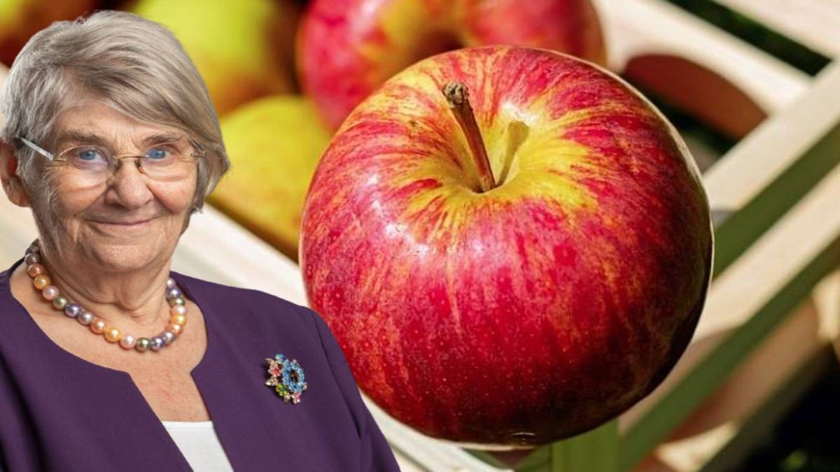 Elmayı bugüne kadar yanlış yiyormuşuz! Canan Karatay kimsenin bilmediği sırrı anlattı