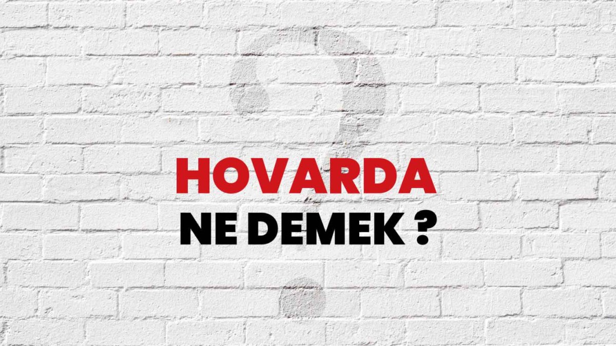 Hovarda Ne Demek? Türk Dilindeki Anlamı ve Kullanımı