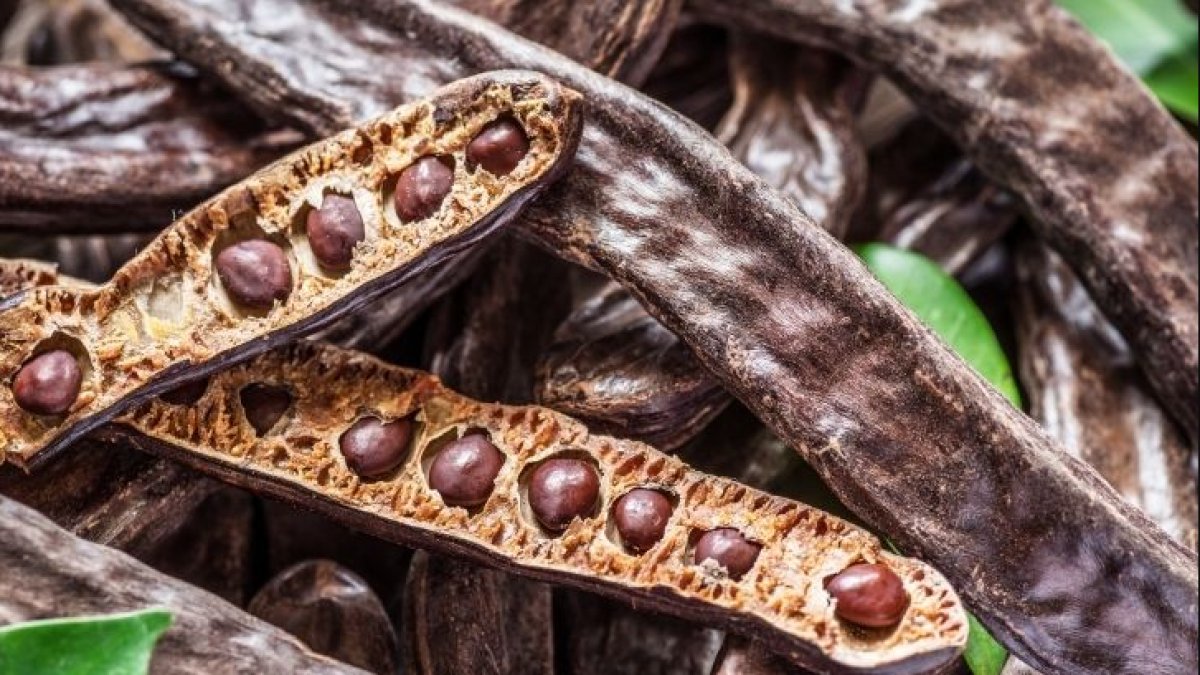 Keçiboynuzu Özünün Faydaları