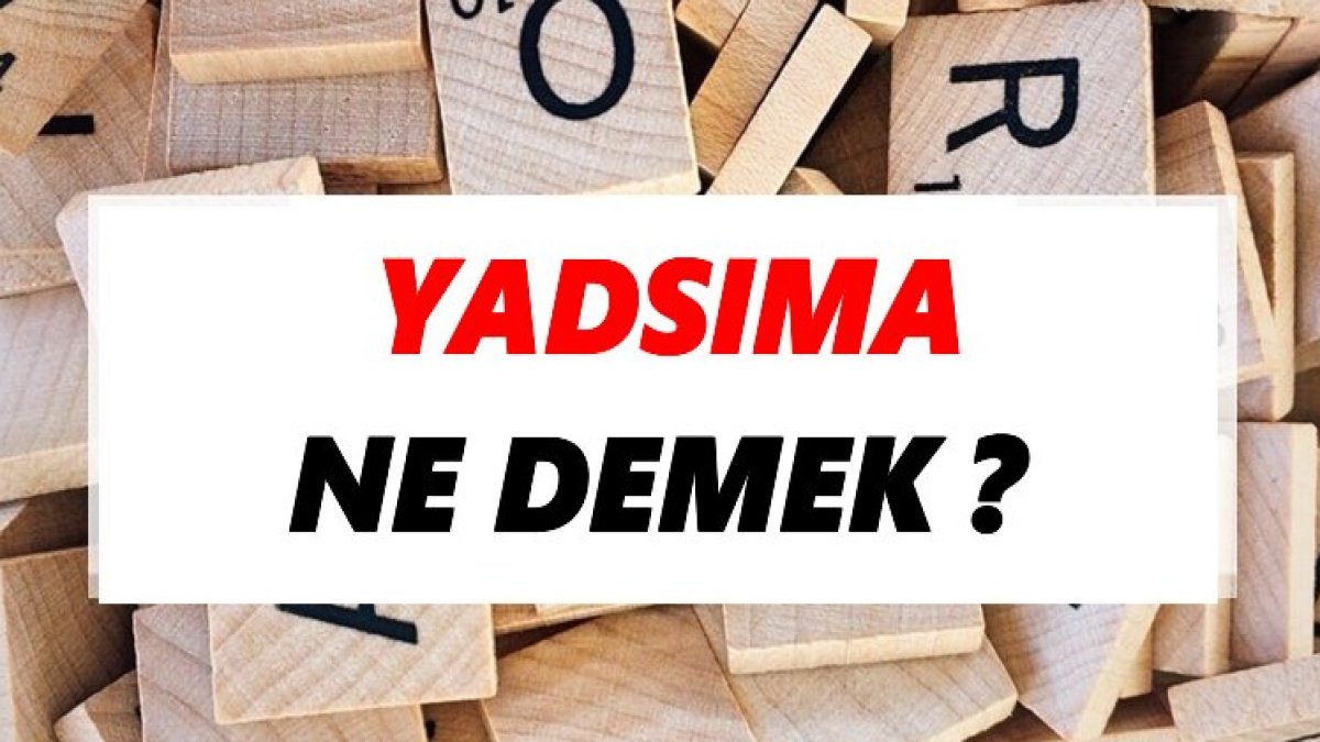 Yadsıma Nedir? - Anlamı, Özellikleri ve Örnekler