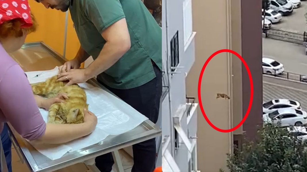 6 Şubat'tan bu yana ağır hasarlı binada mahsur kalmıştı: 14. kattan aşağı atladı