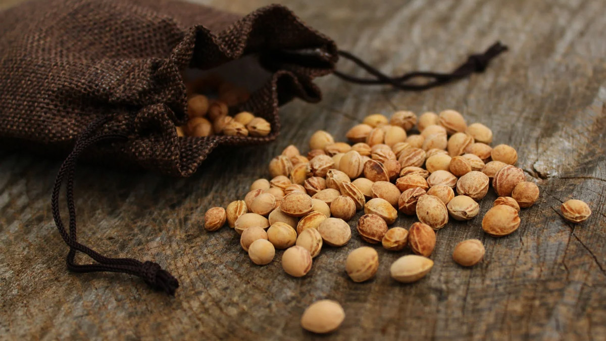 Gaz sancısı çekenler dikkat! İbrahim Saraçoğlu öneriyor: Bu çayı evde yapıp için