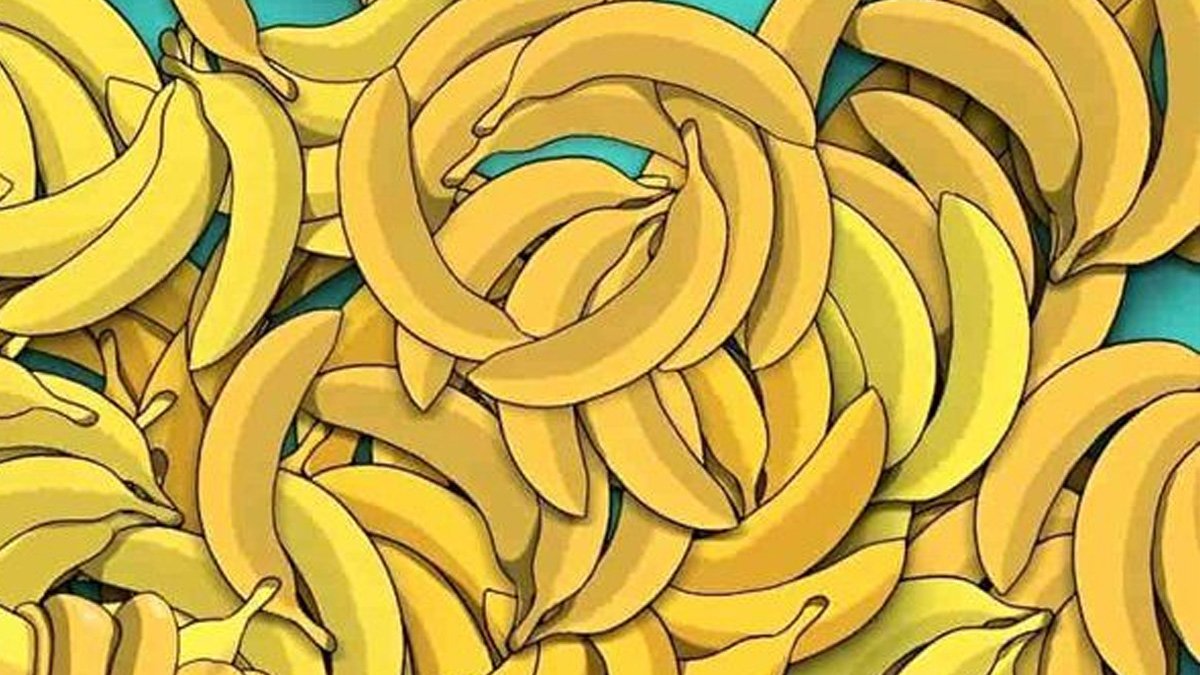 Üstün zekanızı kanıtlayın! Resimdeki yılanı bulmak için 5 saniyeniz var: Sadece 150 IQ ve üstü bulabiliyor...