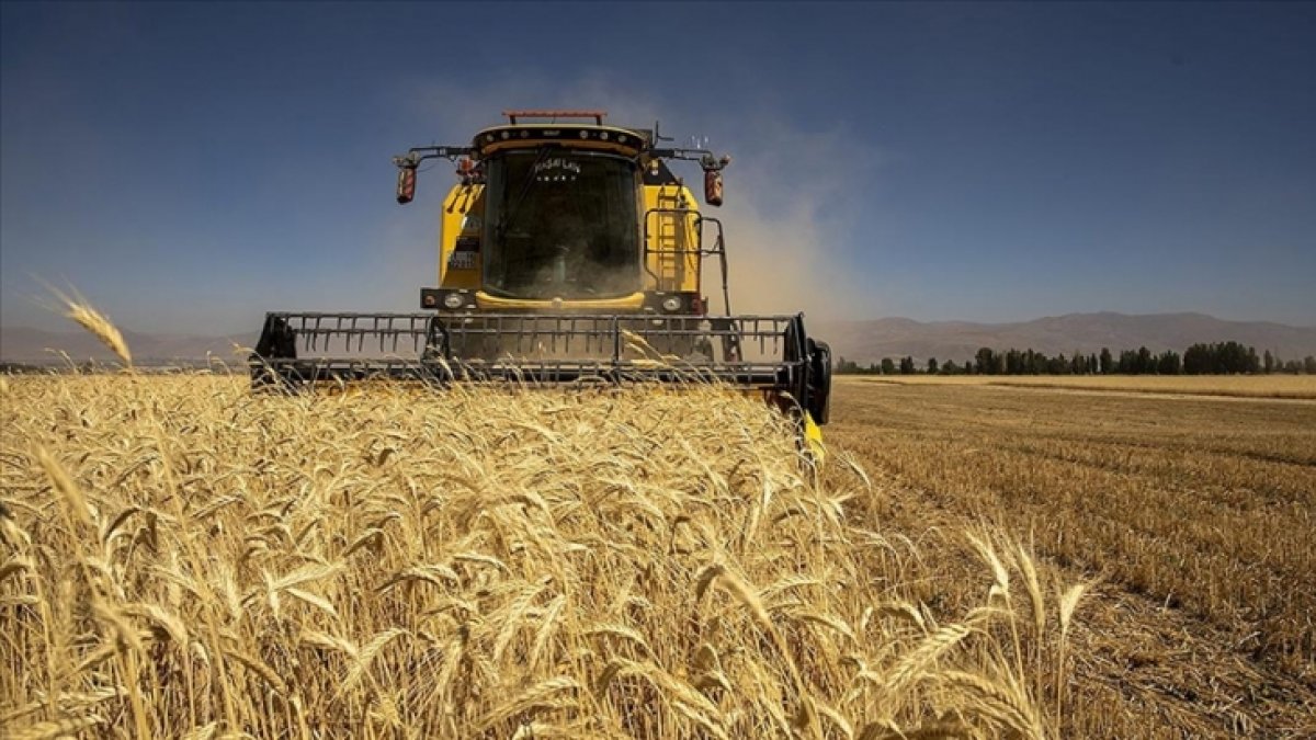 Hepimiz için tarım