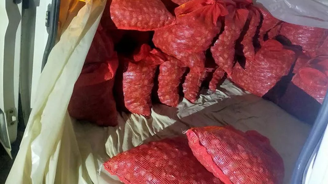 Kum midyeleri teknede yakalandı: Değeri 2 milyon lira