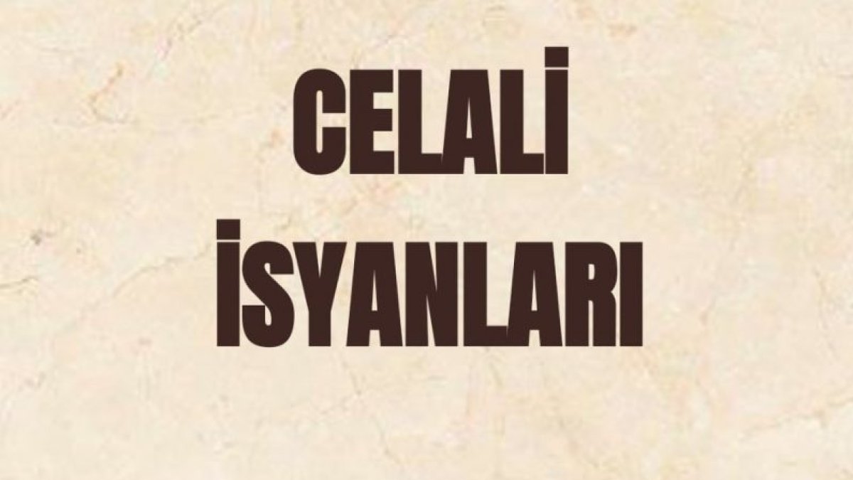 Celali İsyanlarının Sonuçları
