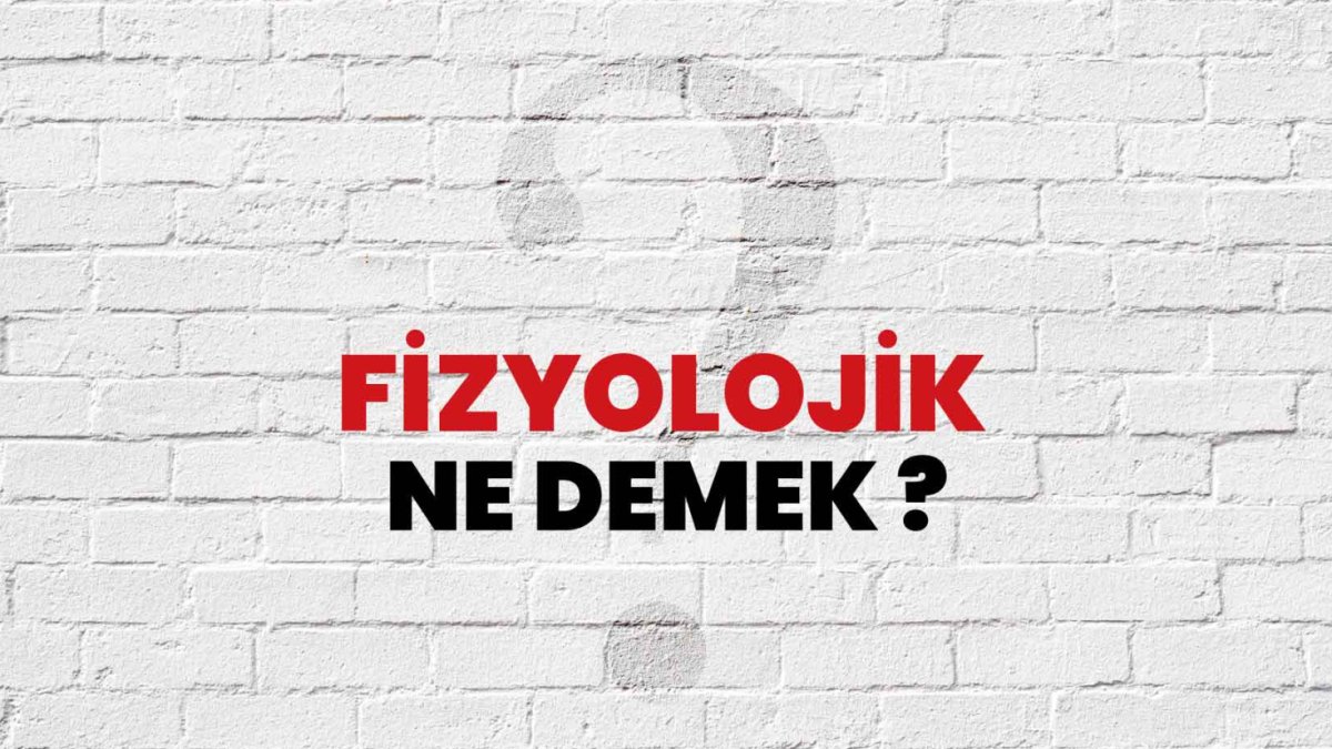 Fizyolojik Ne Demek? Vücudun İşleyişi ve Fizyolojinin Önemi