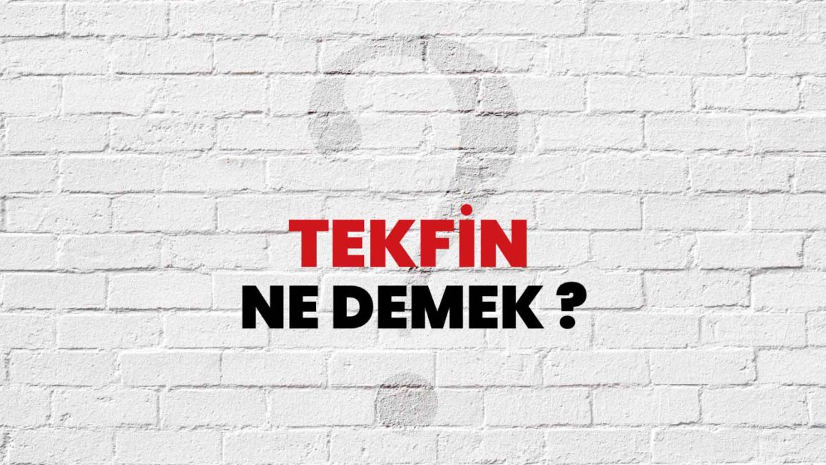 Tekfin Nedir?