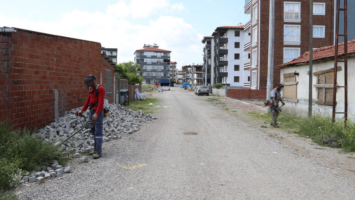 Tırpan ve temizlik çalışmaları sürüyor
