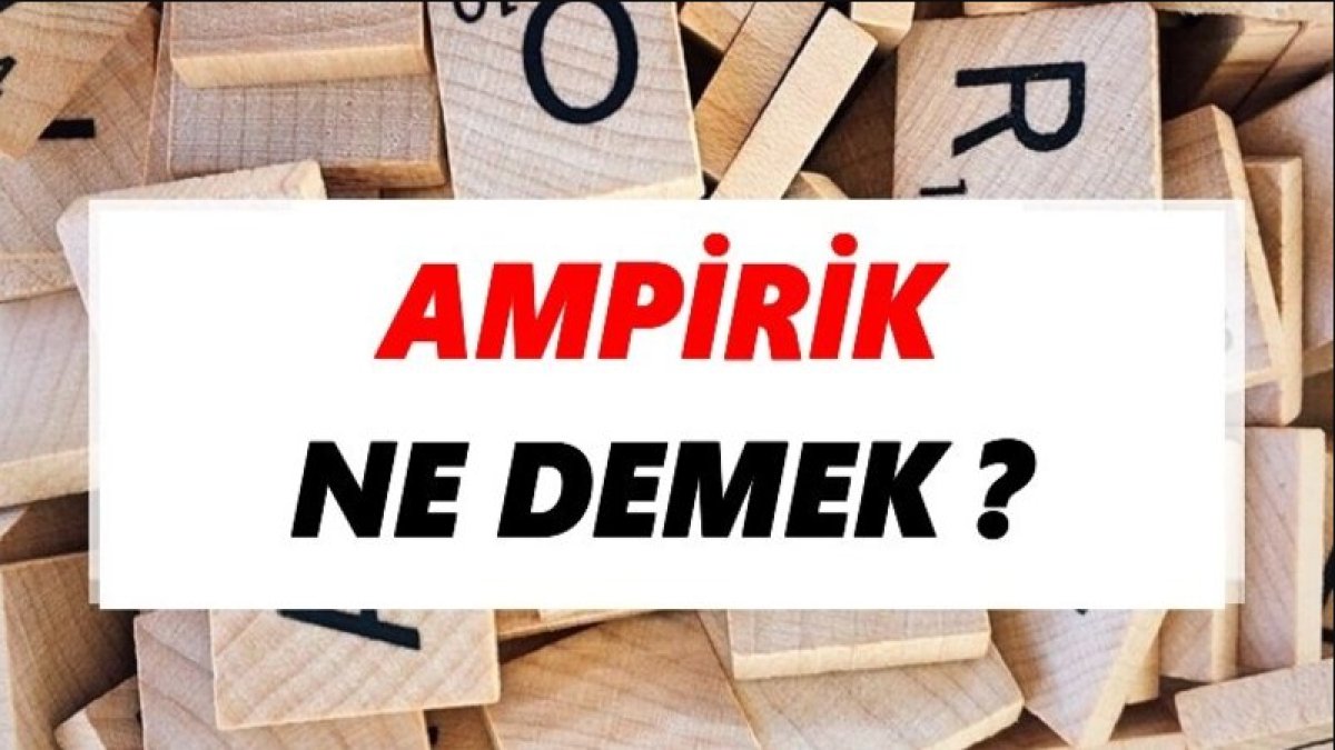 Ampirik Nedir: Bilimsel Araştırma Yöntemlerinin Temeli